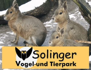 Solinger Vogel- und Tierpark